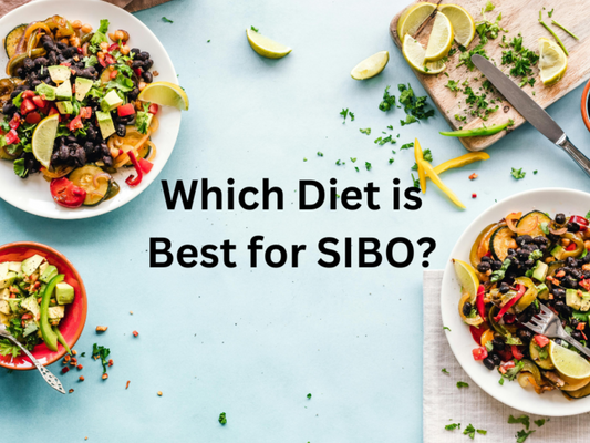 Which Diet is Best for SIBO?