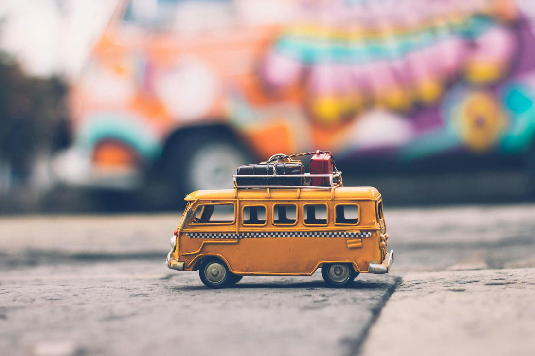 gut supplements for travel